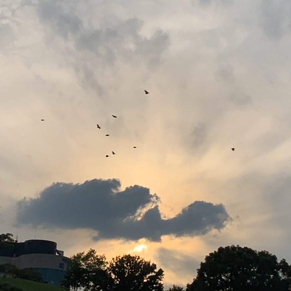 KakaoTalk_20191022_130049483_24.jpg