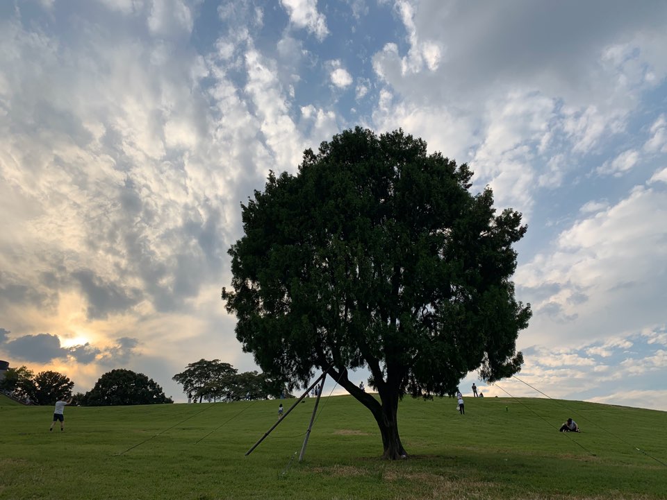 KakaoTalk_20191022_130049483_23.jpg