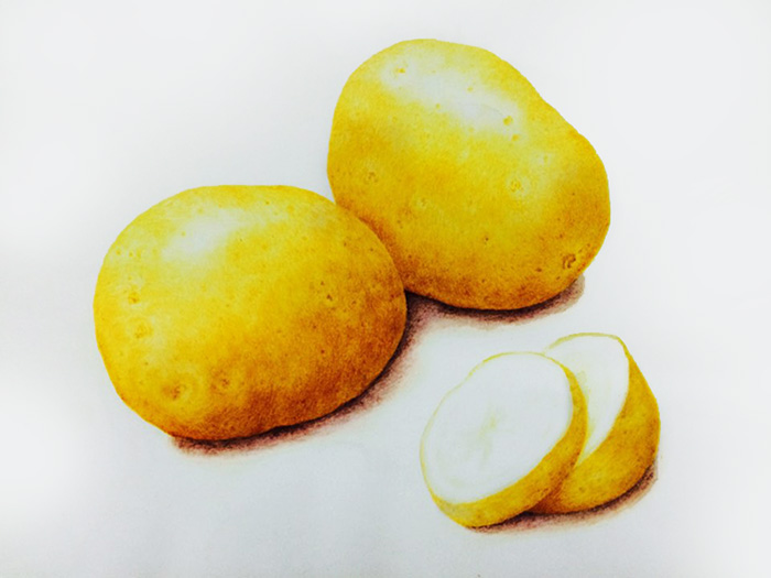 KakaoTalk_20160404_182817705.jpg